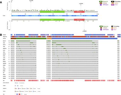 Germline and somatic drivers in inherited hematologic malignancies